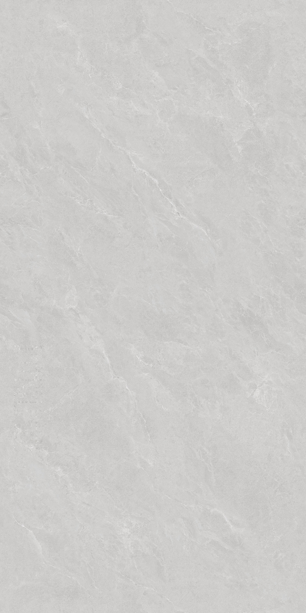FNL68013