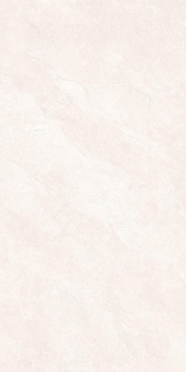 FN662001