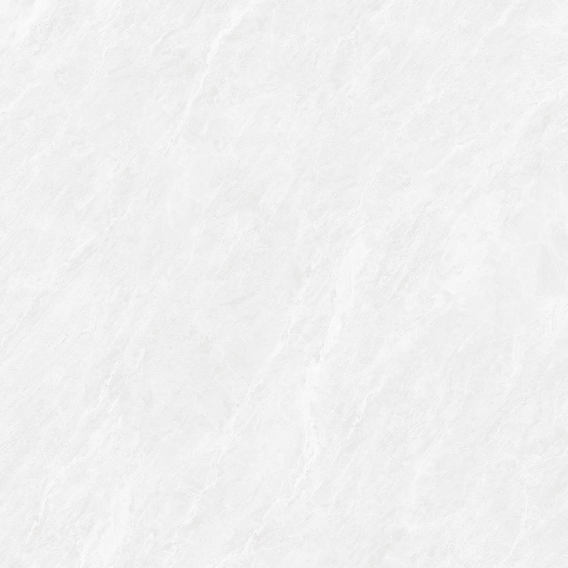 FN2808