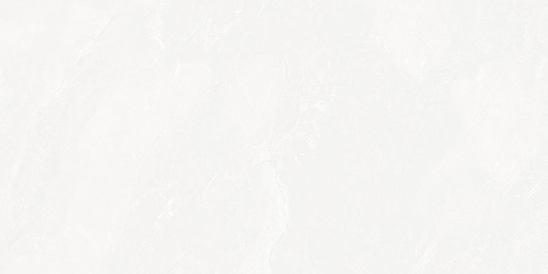 FN48K89002